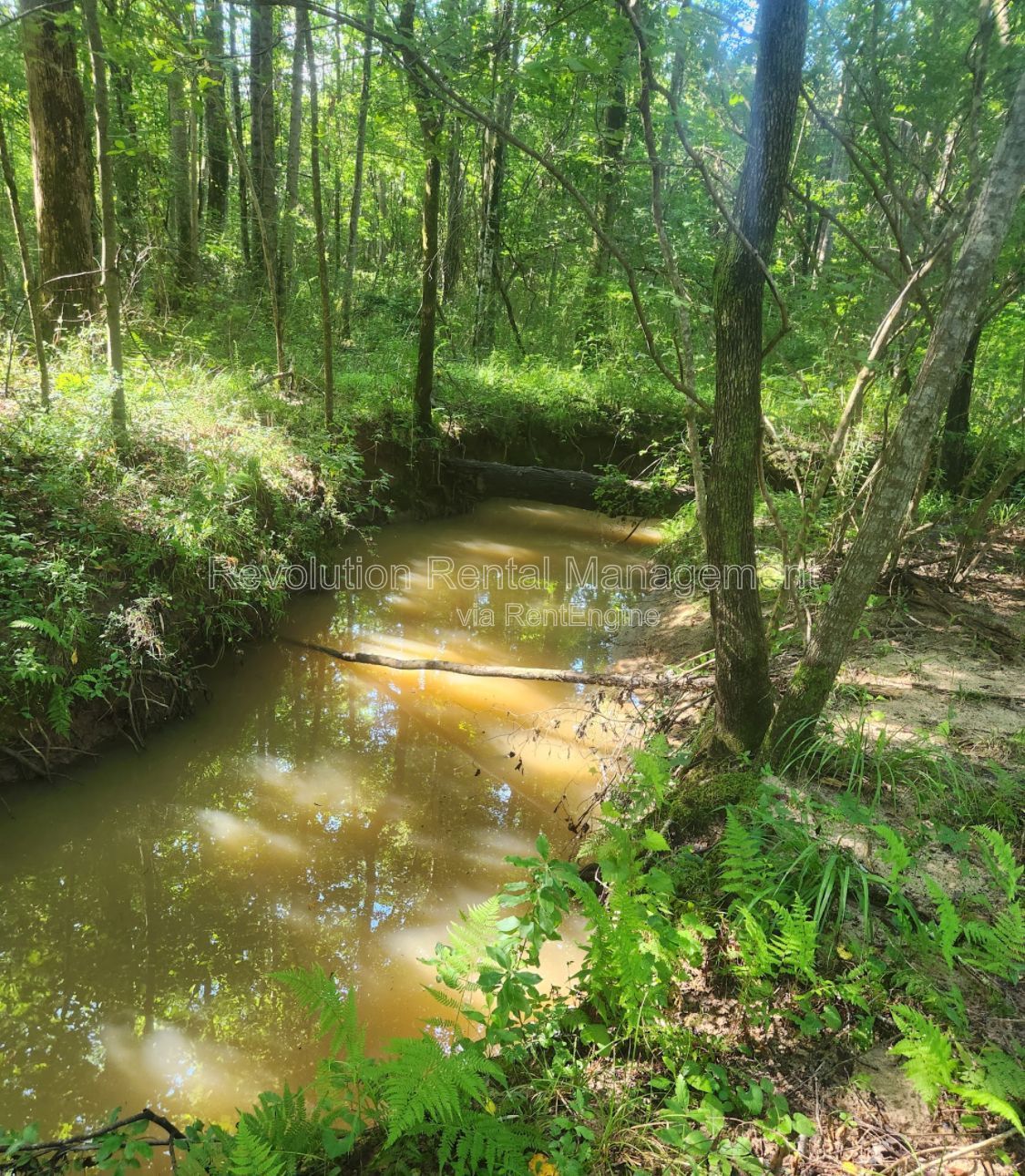 202 Fenner Rd property image