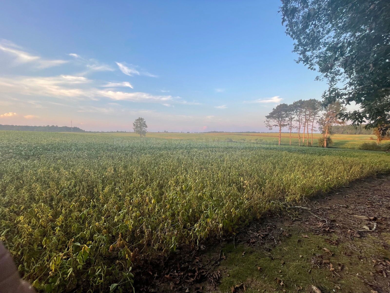 202 Fenner Rd property image