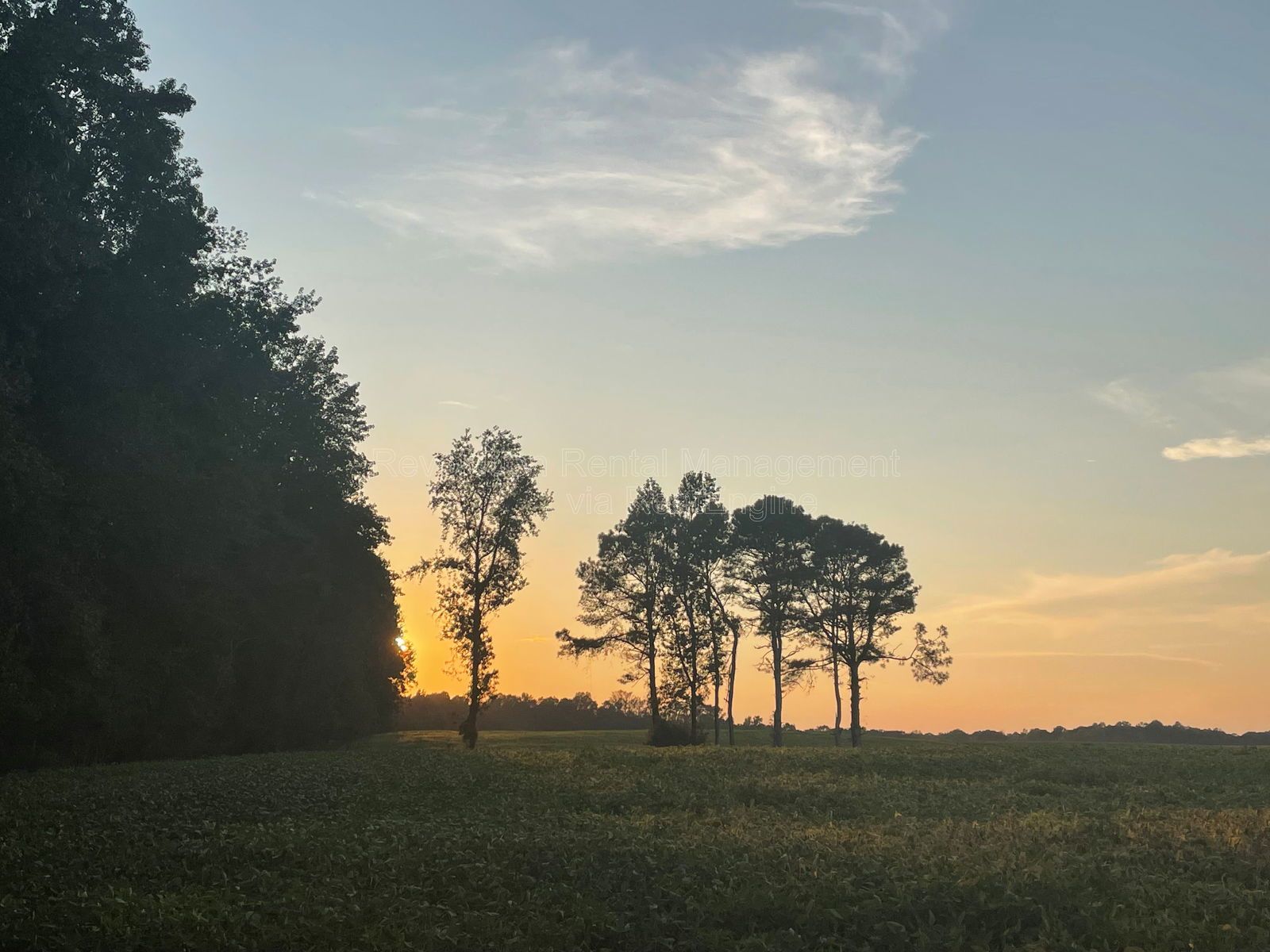 202 Fenner Rd property image