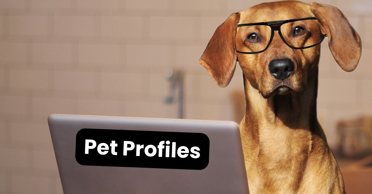 Simplifying Pet Profiles