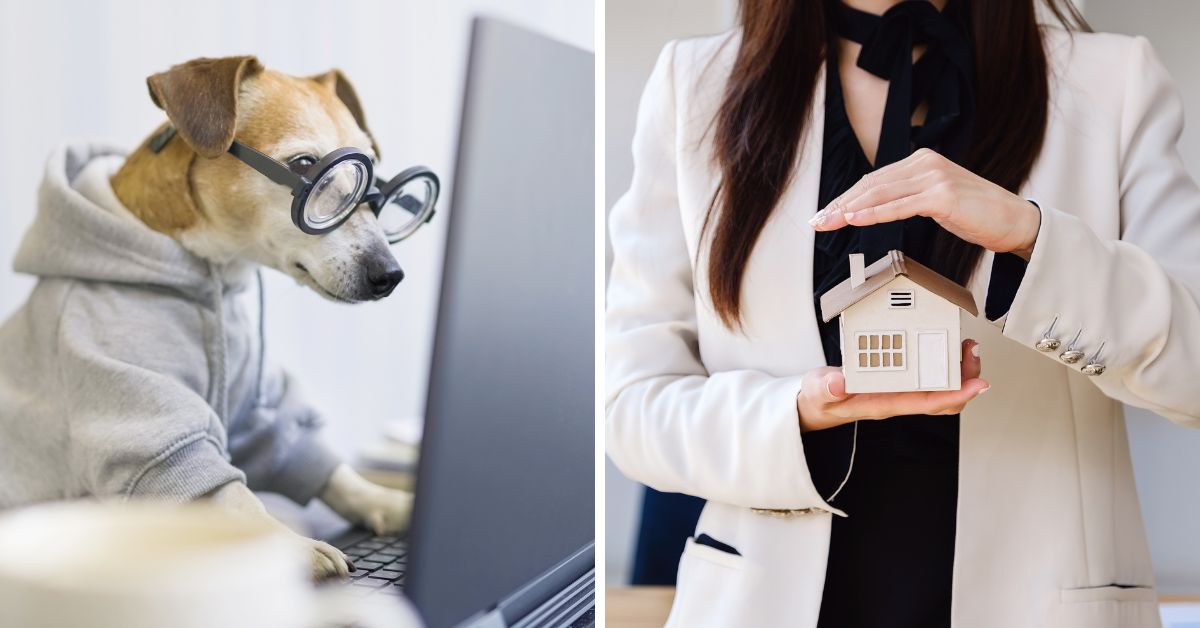 Pet screening and Property Management